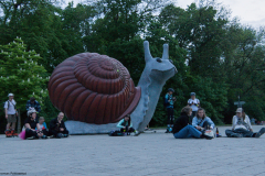 DSC8358