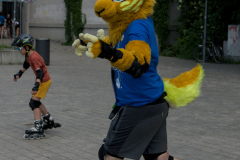 DSC8514
