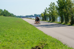 DSC00791149