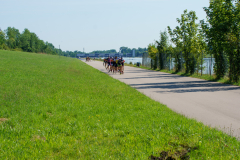 DSC00825176