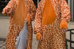 DSC7146