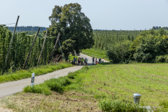 AD1A0463