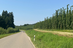 IMG-20250816-WA0006