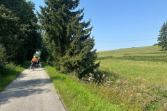 IMG-20250816-WA0013
